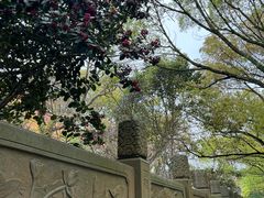 -普陀山风景名胜区-千步大沙