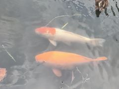 -四季明湖·鲁菜海鲜(明湖店)