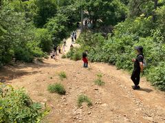 -青龙山国家森林公园