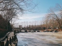 -云岗森林公园