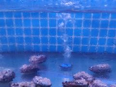 -面道赞宁海海鲜面(迎凤街店)