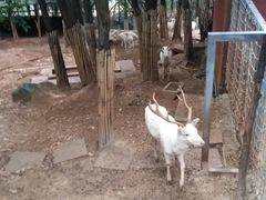-昆明动物园