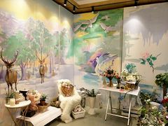 -蝶舍·MAISON PAPILLON