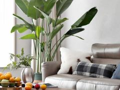 -宅天下装饰·匠心筑家(春熙店)