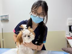 -美联众合动物医院·24h转诊中心