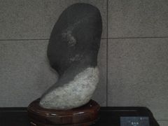 android_upload_pic-中华赏石园