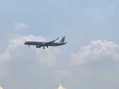 -空港花田景区