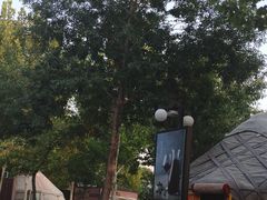 -九十九顶毡房(阜石路店)