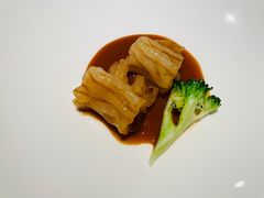 -觀芷隐轩