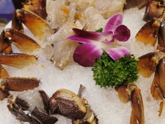 -东海怡品海鲜豆捞(星街坊店)
