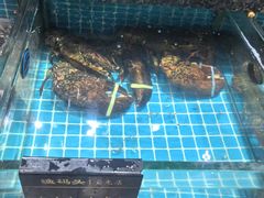 -渔码头食府(蓬莱阁店)