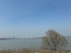 -上海滨江森林公园