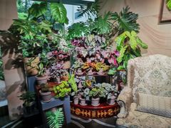 -棕榈岛海鲜自助餐厅(虹桥迎宾馆店)