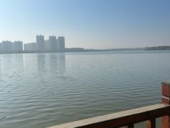 -九里湖国家湿地公园