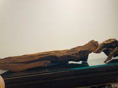 -甜心闲生传统手工冰粉(奎星楼店)