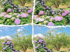 -名花谷生态庄园