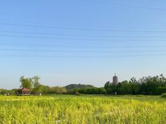 -永定河休闲森林公园