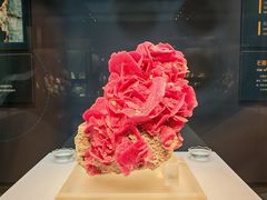 -湖南省地质博物馆