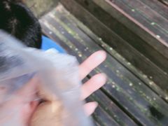 -金盆阿嬷香菇茶叶蛋(玄光店)