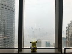 -上海柏悦酒店