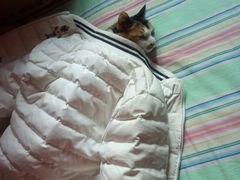 -奥斯卡新都汇影城(终级银幕)