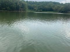 -佛手湖郊野公园