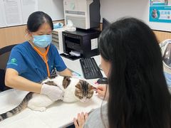 -瑞派中心宠物医院·CT·核磁·神经专科