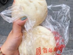 酸菜肉包-清泉阁包子铺(中山路店)