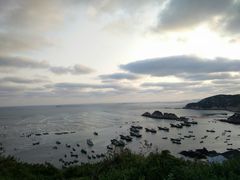 -枸杞岛