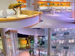 -陕西自然博物馆