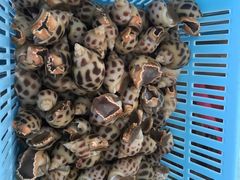 -清水湾3号(东方小周海鲜店)