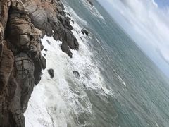 -广东惠东海龟国家级自然保护区