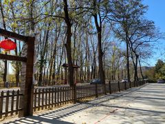 -荣德灶台鱼(圣泉寺店)