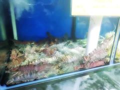-蚝专家(北滘店)