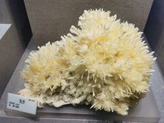 -贵州省地质博物馆