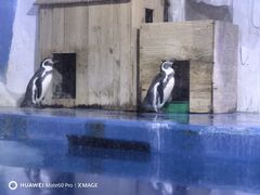 -多彩贵州城极地海洋世界