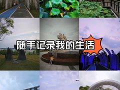 -渤公岛生态公园