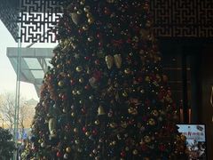 -北京希尔顿逸林酒店