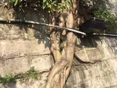 -山城巷传统风貌区