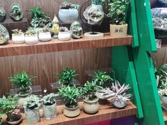 -扶光书店(中环店)