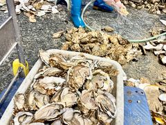 -蚝抵食·湛江生蚝(湾北路店)