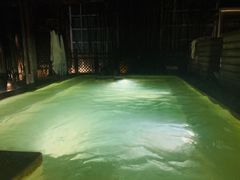 -春晖园度假酒店温泉