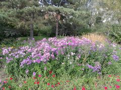 -长春公园(普阳街道)