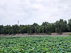 -北京天湖会议中心