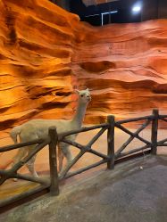 -酷嗒动物文化乐园(cutezoo西溪乐天城店)