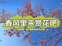 -风云岭森林公园