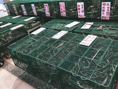 -荔城生鲜盛宴(番禺旗舰店)