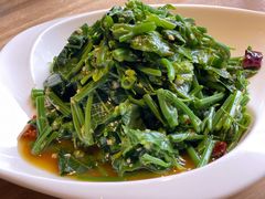炝拌龙须菜-東舍食唐精品陕菜馆