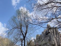 -黑龙江省森林植物园