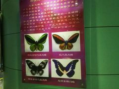 -上海昆虫博物馆